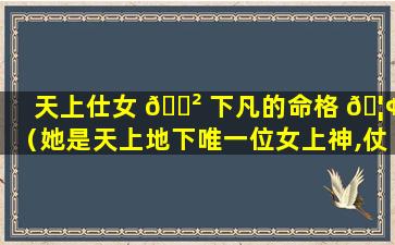 天上仕女 🌲 下凡的命格 🦢 （她是天上地下唯一位女上神,仗着身份辈分高）